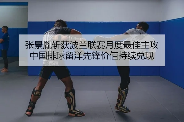 张景胤斩获波兰联赛月度最佳主攻 中国排球留洋先锋价值持续兑现